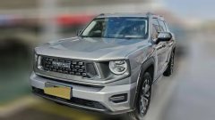 2023 Haval Big Dog Plus 2023 2.0T AT 4WDShionoPlus #1