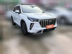 2024 GAC Trumpchi Trumpchi GS4 Plus 2022 2.0T AT 390T interstellarEdition #2