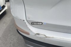 Trunk Lid