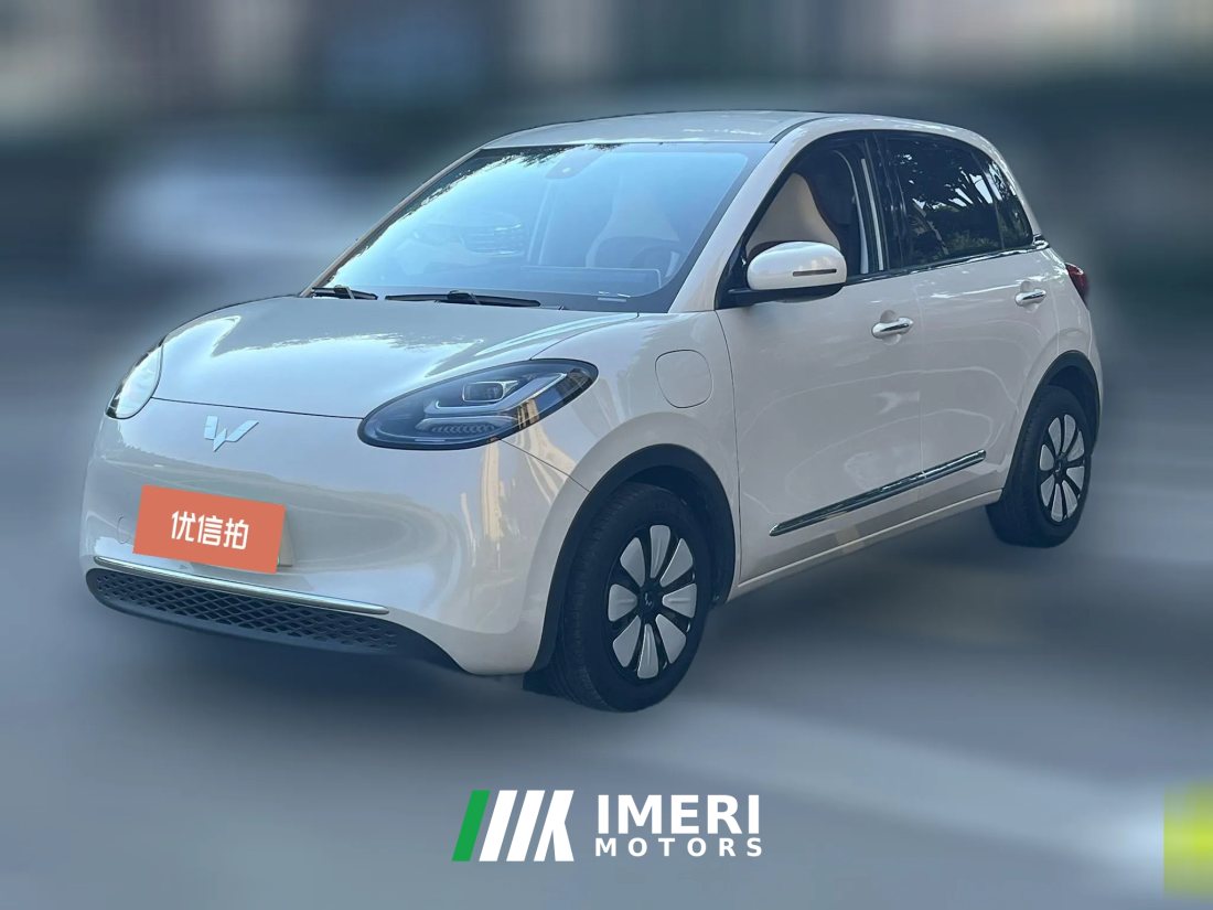 2024 Wuling Motors Wuling Bingo 2023 333KM Joy