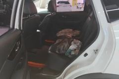 2020 Nissan X-Trail 2021 2.5 AT XLSmart ConnectLeading4WD #11