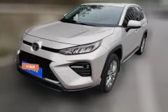 2022 Toyota Wildlander 2022 2.0 AT 2WDLuxuryPLUSEdition #1
