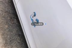მარჯვენა წინა კარი