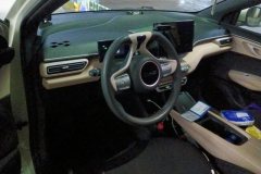 2025 BYD Seagull 2025 305km vitalityEdition #12