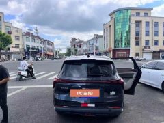 2022 Dongfeng Fengxing Fengxing Youting 2022 1.5T AT DCTChase the wavesEdition #3