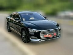 2022 BYD E9 2021 Business #3