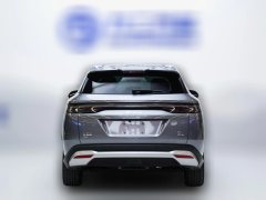 2024 BYD Song L DM-i 2024 1.5L AT 112km Surpass #3