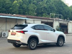 2021 Lexus NX 2020 2.0 AT 200Feng XingEditionFWD China VI (Imported) #8