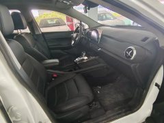 2019 BYD Yuan EV 2019 EV535High EnergyPilot EV #10