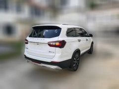 2021 Dongfeng Fengxing Fengxing T5L 2020 1.5T AT Flagship7Seat China VI #3