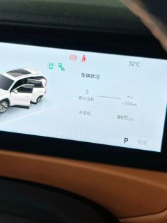 2025 Geely Auto Boyue L 2025 No.4generation 1.5TD DCT mountains and rivers #9