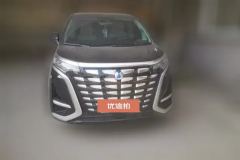 2024 Denza D9 2024 1.5T AT DM-i 1050 Exclusive #2