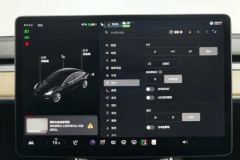 2020 Tesla Model 3 2020 StandardBattery lifeRWDUpgradeEdition #24