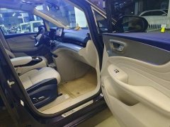 2022 Roewe iMAX8 2022 2.0T AT 400TGI GatheringEdition #5