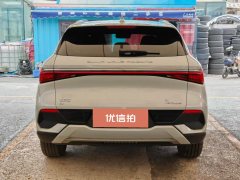 2024 BYD Yuan Plus 2024 Glory 510KM Surpass #8