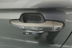 Left Front Door Handle