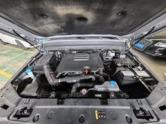 2023 Tank 300 2023 Off-road 2.0T AT conqueror #14