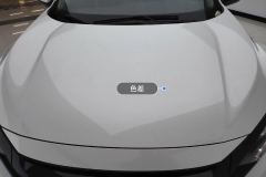 Engine Hood