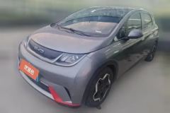 2023 BYD Dolphin 2021 405km Fashion #1