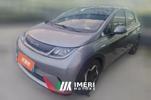 2023 BYD Dolphin 2021 405km Fashion