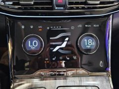 2021 Exeed Lanyue 2021 2.0T AT 390T 4WDStar Premium #17