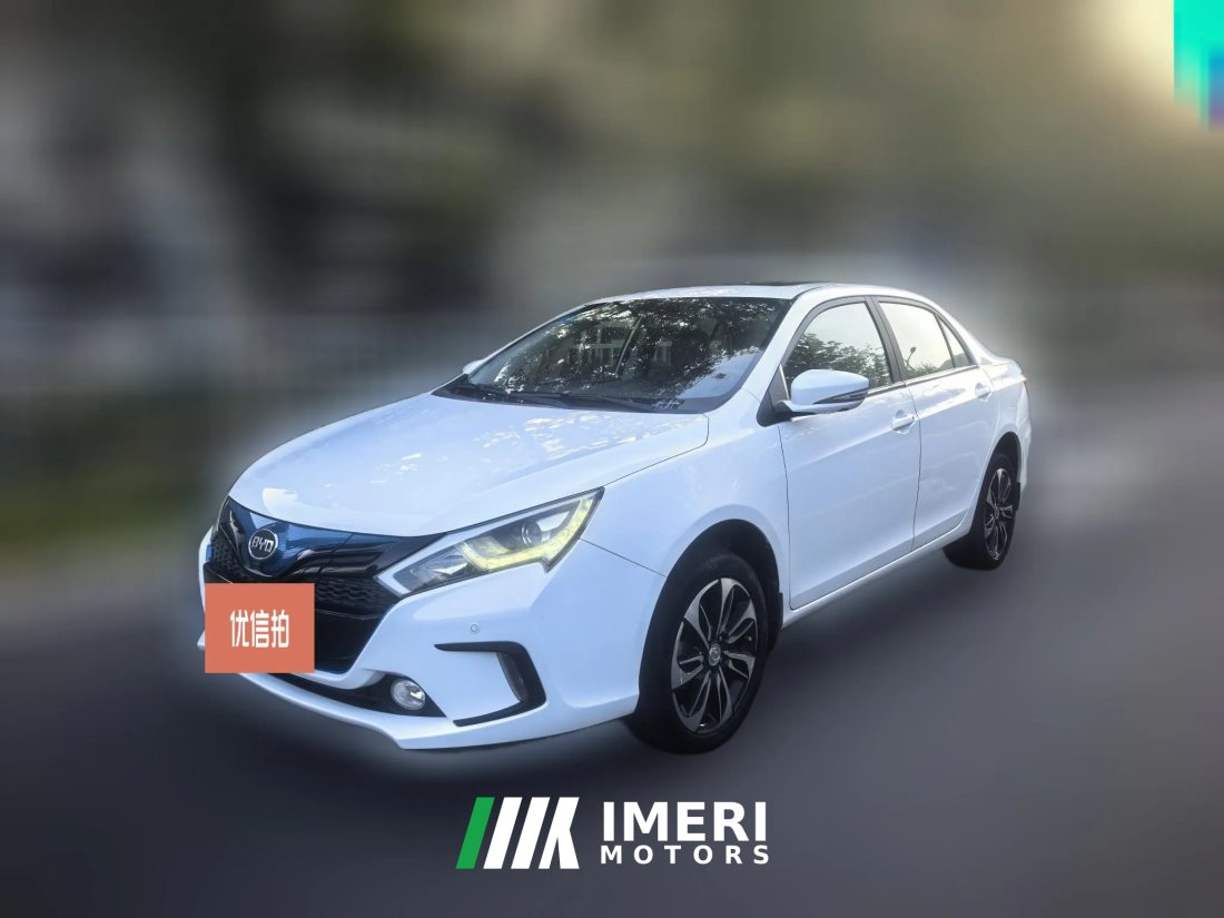2017 BYD Qin EV 2016 QinEV300 Premium EV