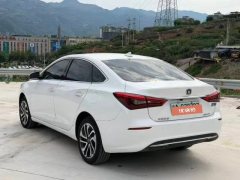 2019 Chang'an Eado New Energy 2019 EV460Smart EV #9