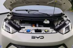 2024 BYD Seagull 2025 305km freeEdition #10