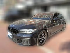 2021 BMW 5 Series 2021 2.0T AT 525Li MSport Pkg #1