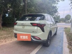 2022 Neta V 2022 tide 300 Lite NMC #9