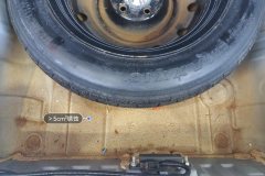 Trunk Floor