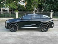 2024 Exeed Yaoguang 2023 400T 2WDEnjoy FeiyuEdition #4