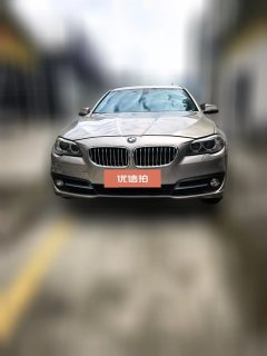 2015 BMW 5 Series 2014 2.0T AT 525LiLeading #2
