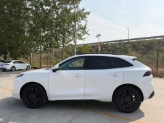 2021 Dongfeng Fengxing Fengxing T5 Evo 2021 1.5T AT DCTdiamondEdition #3