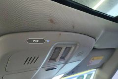 Roof Lining