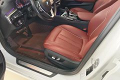 2021 BMW 5 Series 2021 2.0T AT 530LiLeadingLuxury Pkg #9