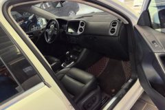 2015 Volkswagen Tiguan 2015 1.8T AT Luxury FWD #8