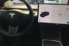 2021 Tesla Model Y 2021StandardBattery lifeRWDEdition #13
