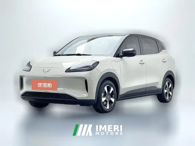 2025 Wuling Motors Wuling Bingo Plus 2024 401km Flagship 4SeatEdition