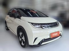 2024 BYD Dolphin 2024 Glory 420km Fashion #3