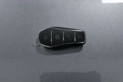 2022 BYD Dolphin 2021 401km knightEdition #10