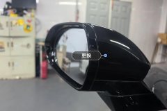 Left Exterior Mirror