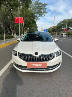 2018 Škoda Octavia 2018 1.6 AT Luxury #9