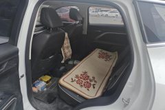 2022 Haval H6 2021 1.5T AT China tideChampion #11