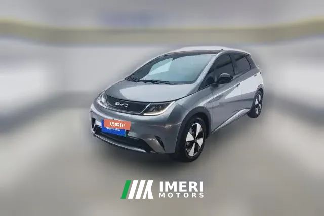 2023 BYD Dolphin 2023 420km Fashion