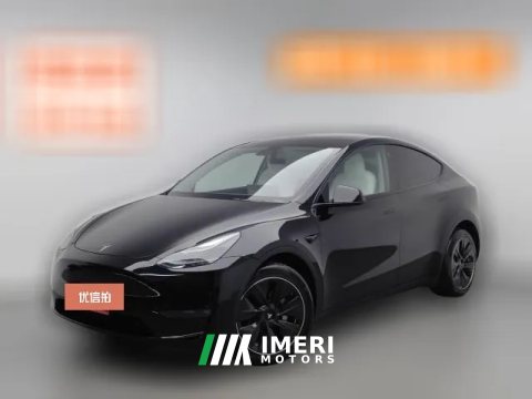 2021 Tesla Model Y 2021 Long Rangeall wheel driveEdition
