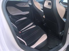2024 BYD Seagull 2024 Glory 305KM freeEdition #12