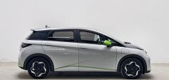 2022 BYD Dolphin 2021 405km Fashion #8