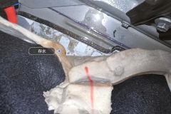 Right Rear Carpet