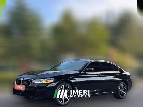 2021 BMW 5 Series 2022 Facelift 2.0T AT 530Li xDrive MSport Pkg